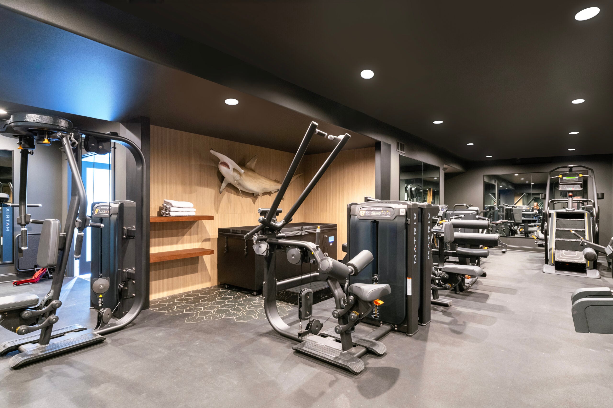 basement remodel with gym